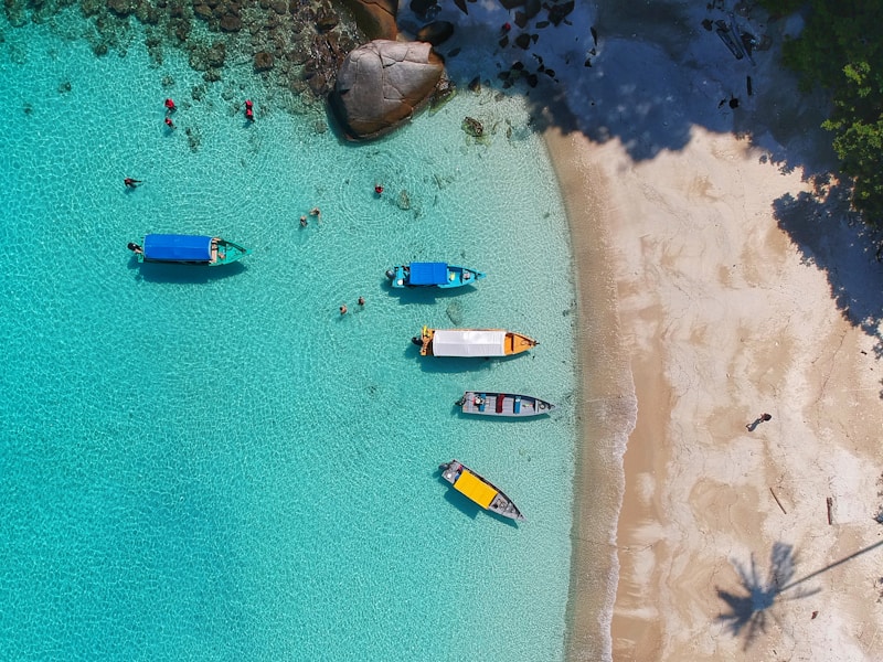 Tropical Beach Exploration