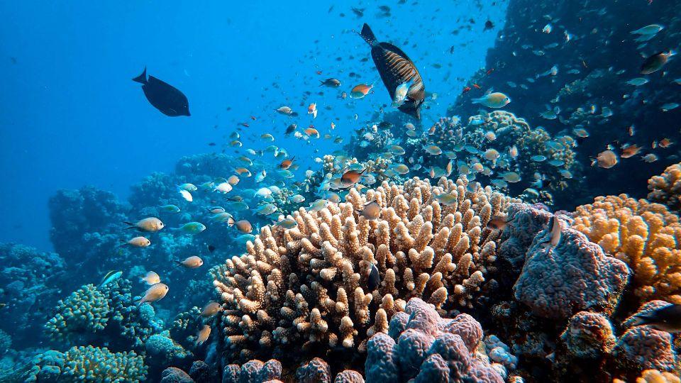 Island Explorers – The Lakshadweep Learning Journey - Image 1