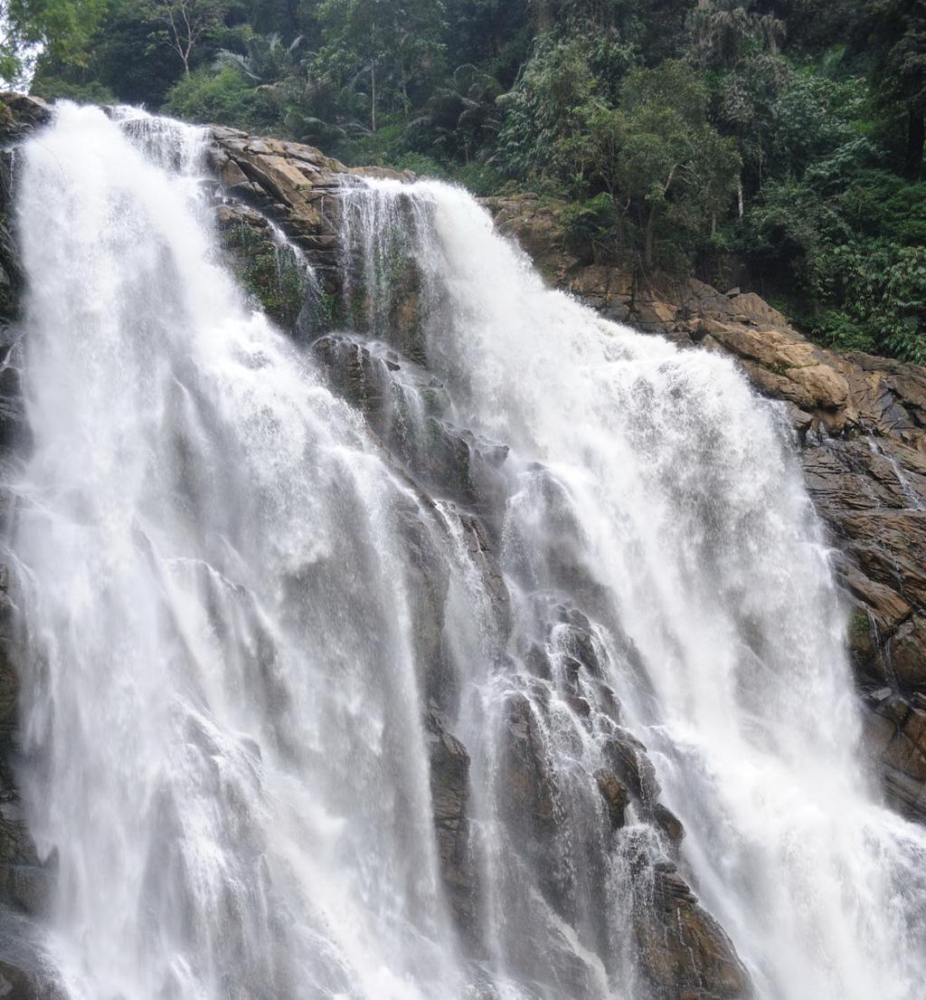 Wayanad – A Journey Through Nature, Heritage & Discovery - Image 1
