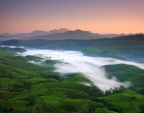 Wayanad – A Journey Through Nature, Heritage & Discovery