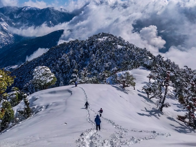 Himachal Mountain Adventure